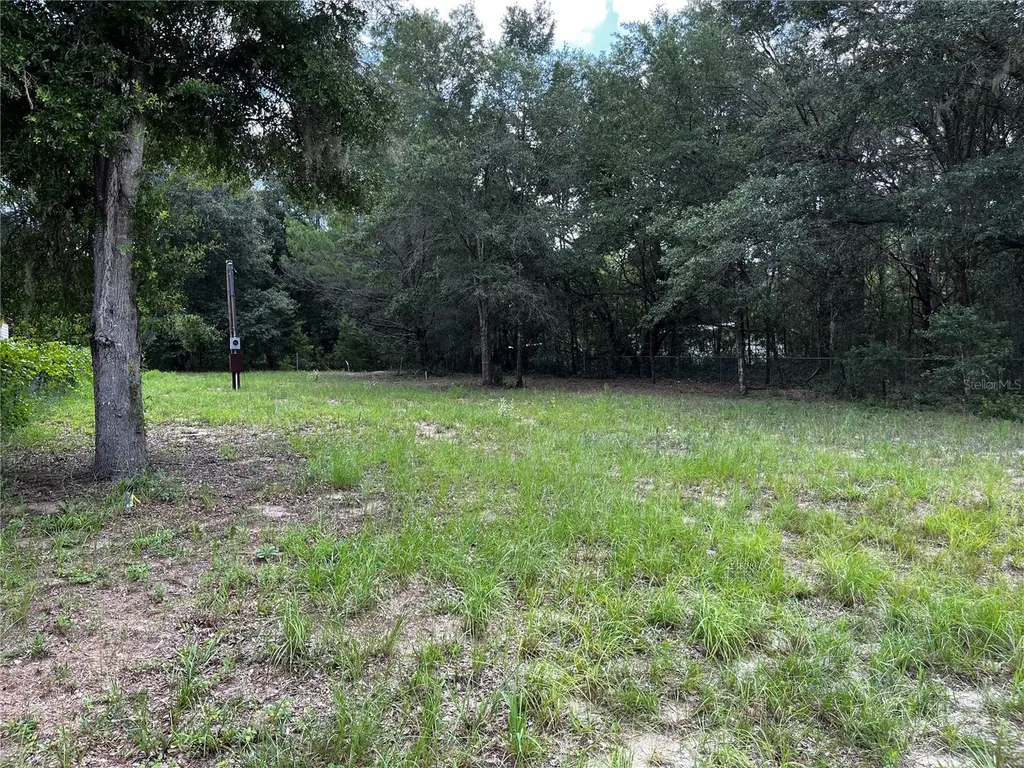 1018 Kitty Avenue Interlachen FL 32148