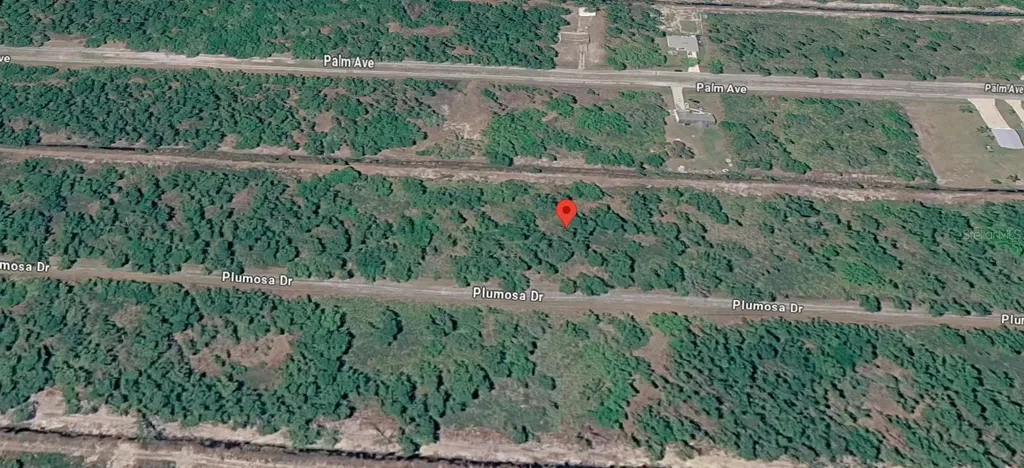 307 Plumosa Drive Indian Lake Estates FL 33855
