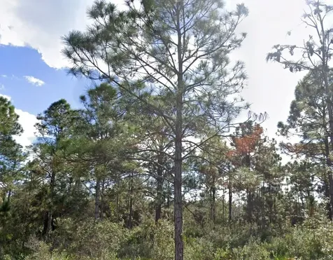 307 Plumosa Drive Indian Lake Estates FL 33855