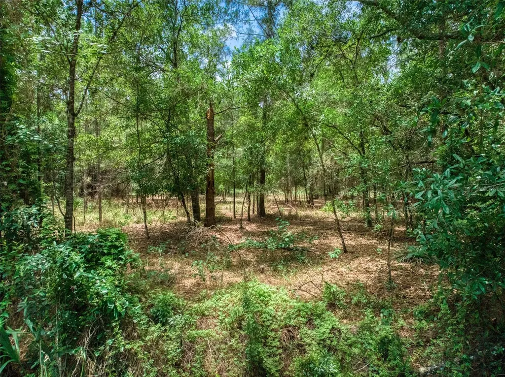 5101 Whippoorwill Road Sebring FL 33875
