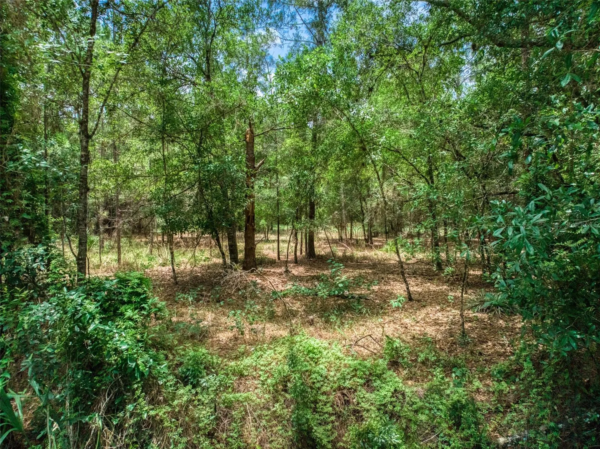 5101 Whippoorwill Road Sebring FL 33875
