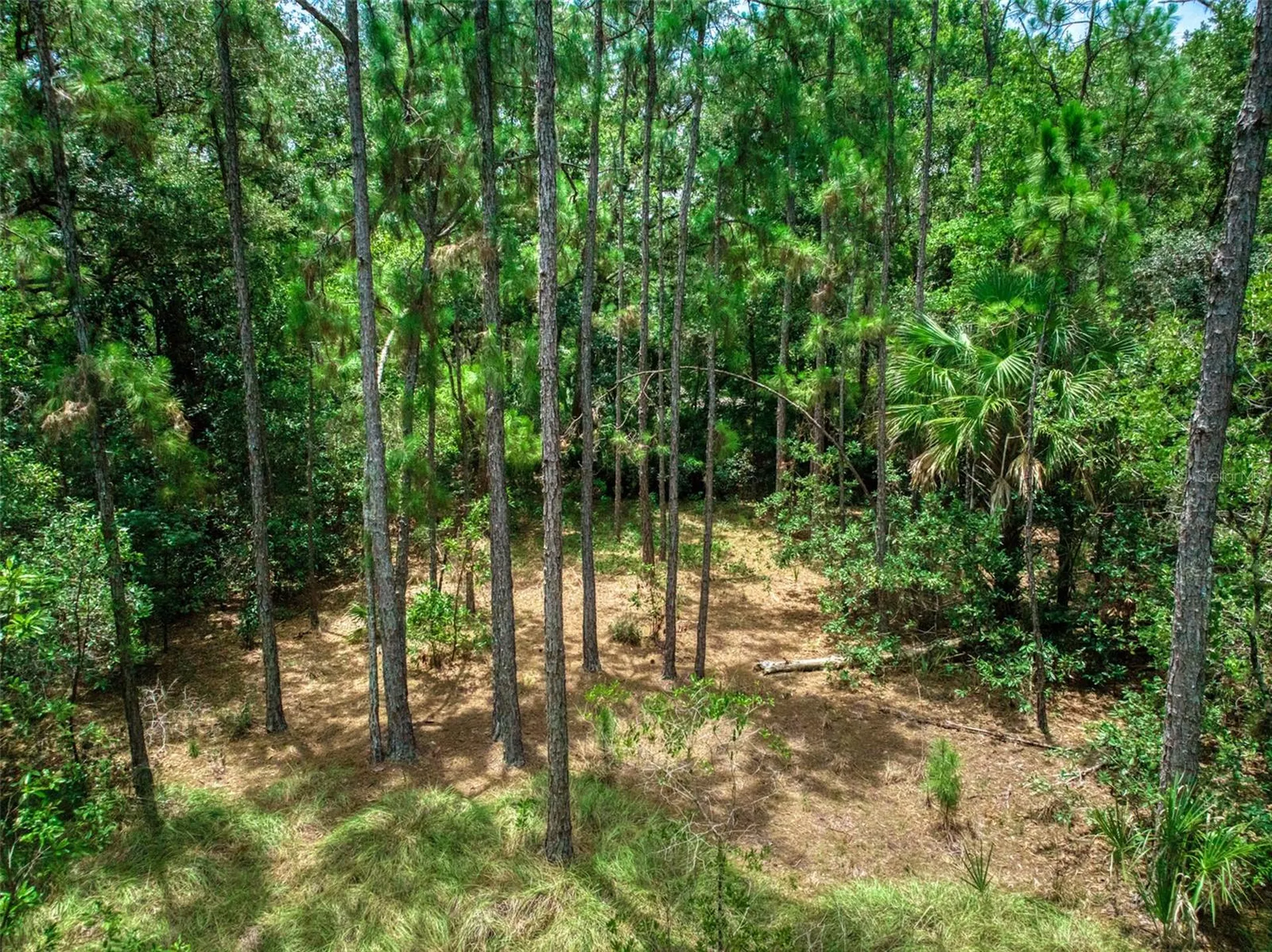 5101 Whippoorwill Road Sebring FL 33875