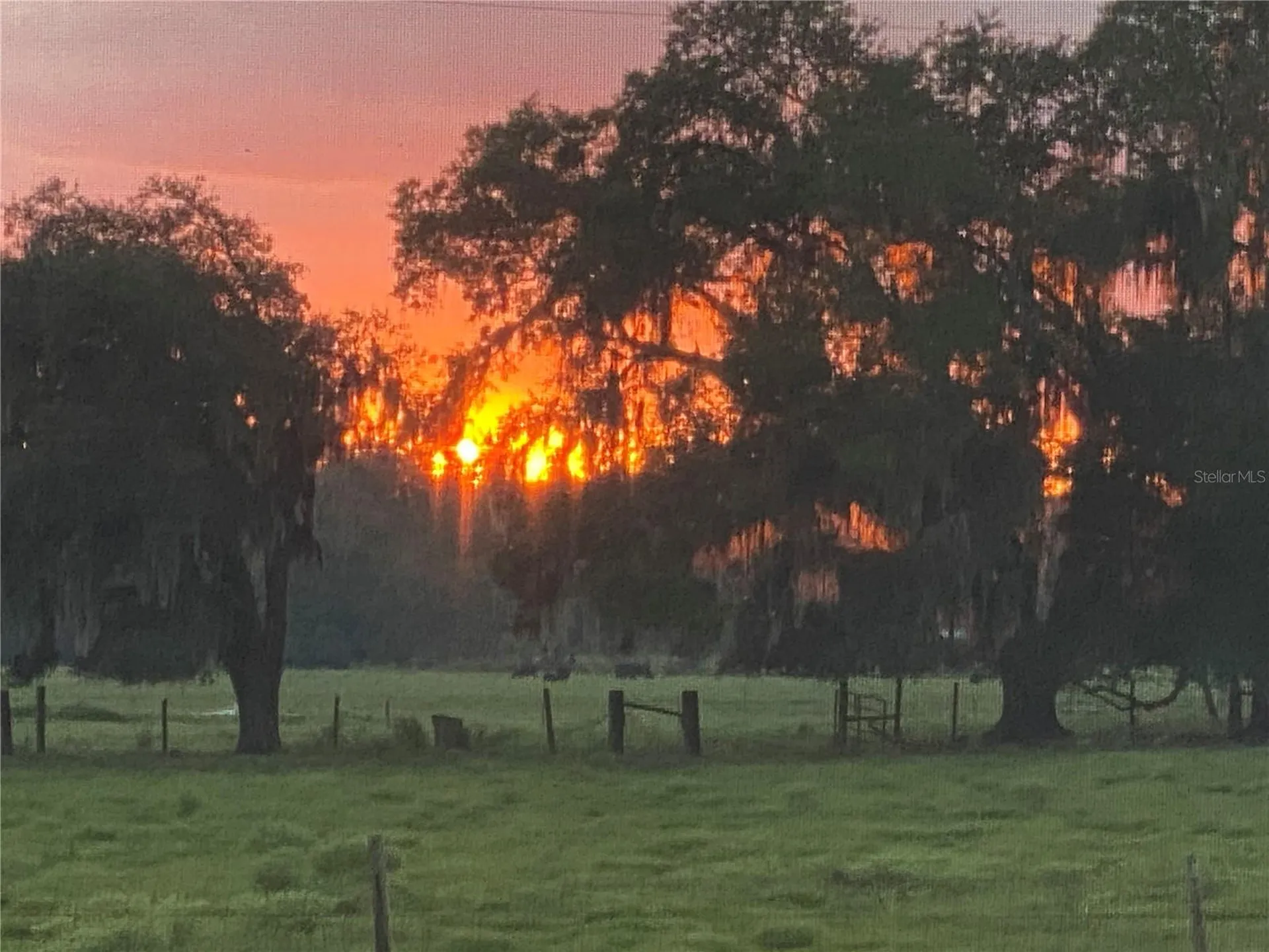 4280 Turner Road Mulberry FL 33860