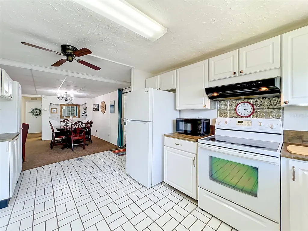 30041 Wausaukee Drive Tavares FL 32778