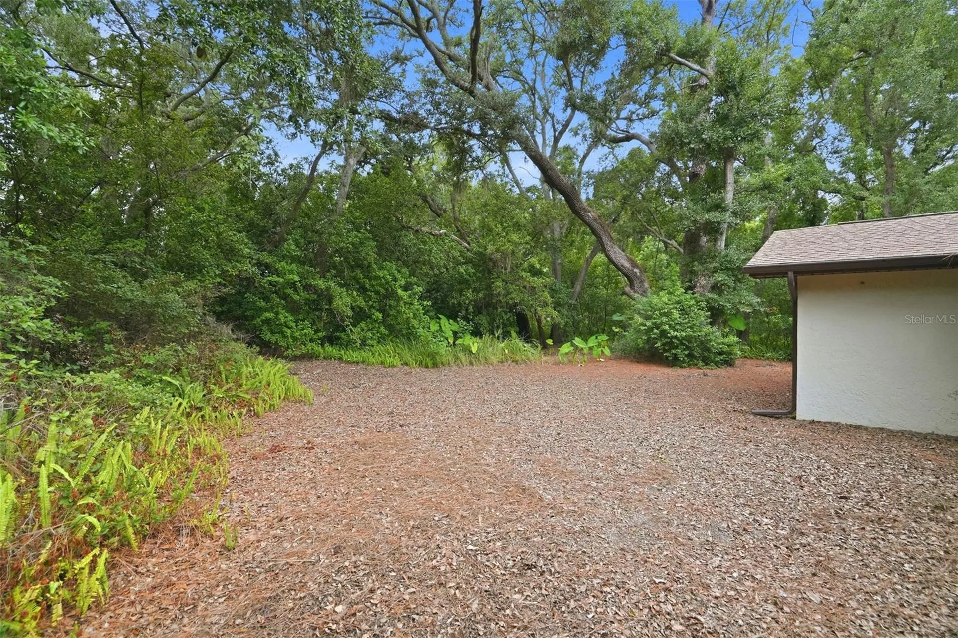 1660 Narnia Court Dunedin FL 34698