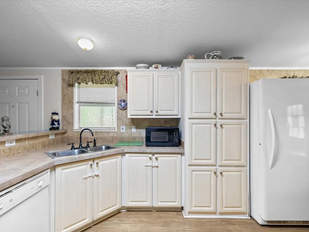 6548 Lake Irene Drive Land O Lakes FL 34638