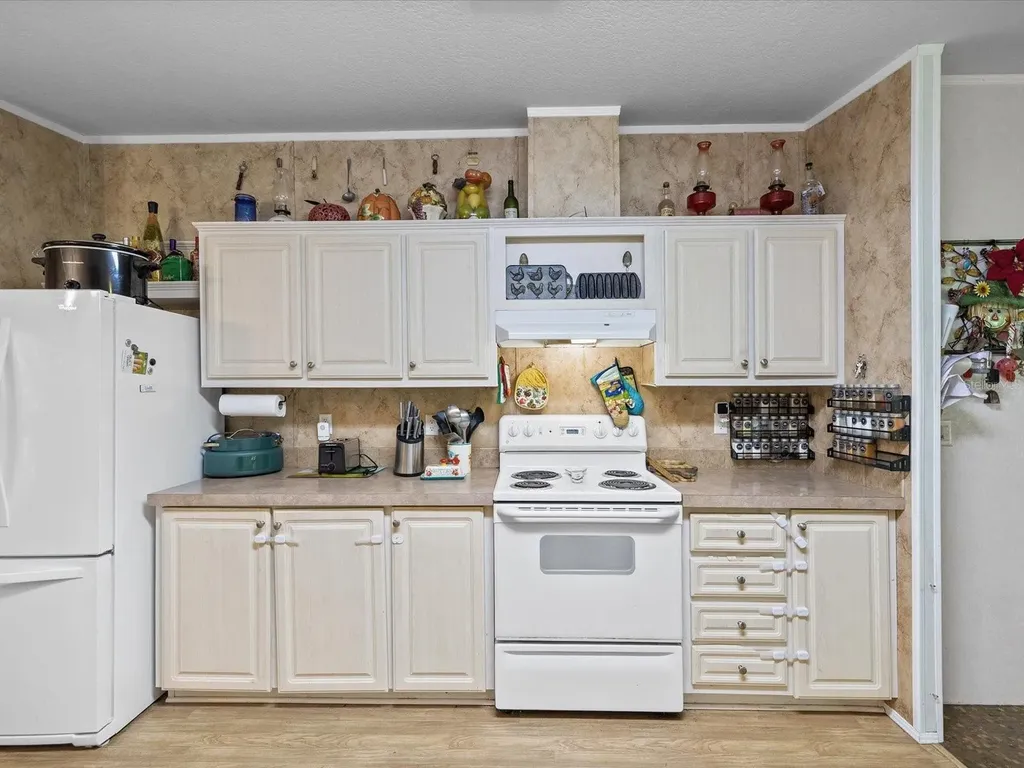6548 Lake Irene Drive Land O Lakes FL 34638
