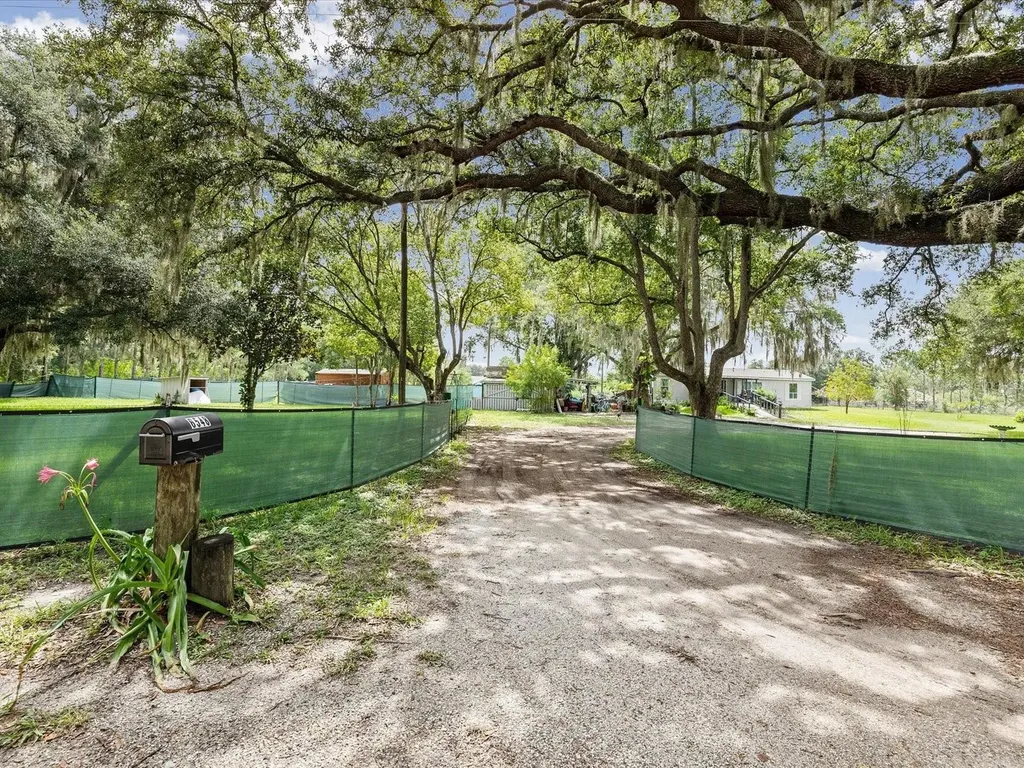 6548 Lake Irene Drive Land O Lakes FL 34638