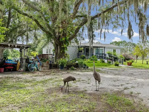 6548 Lake Irene Drive Land O Lakes FL 34638