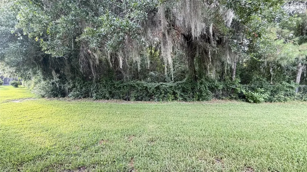 19725 SW 79th Place Dunnellon FL 34432