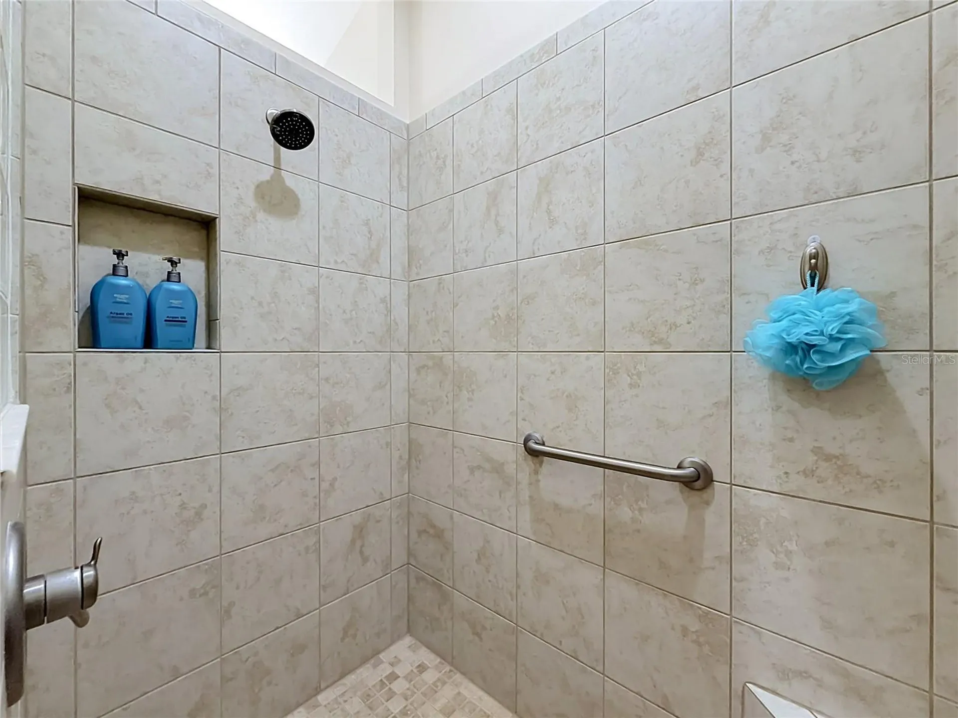 1967 Flowersville Place The Villages FL 32163