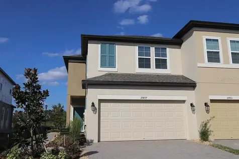 29897 Southwell Lane Wesley Chapel FL 33543