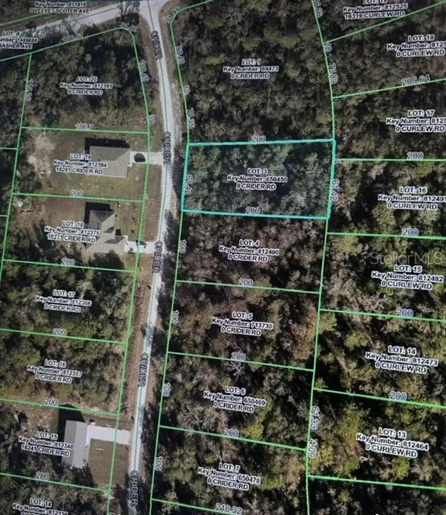Crider Road Weeki Wachee FL 34614