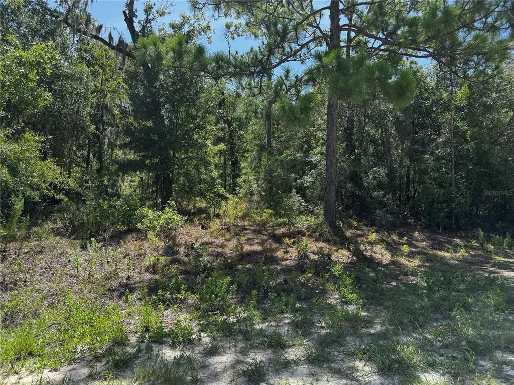 Crider Road Weeki Wachee FL 34614