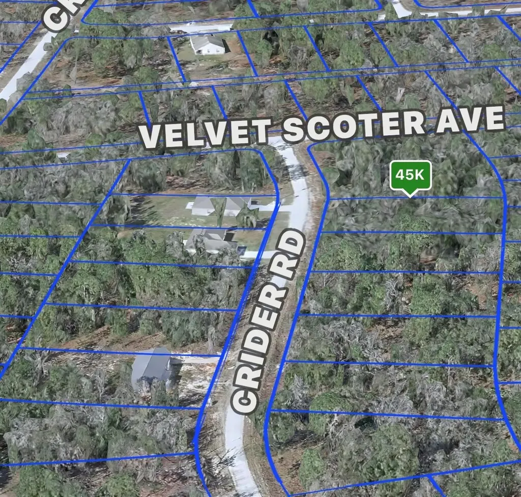 Crider Road Weeki Wachee FL 34614