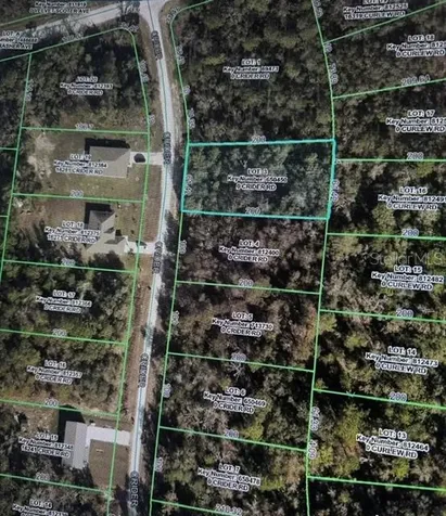 Crider Road Weeki Wachee FL 34614