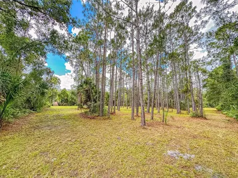 1205 Williams Road New Smyrna Beach FL 32168