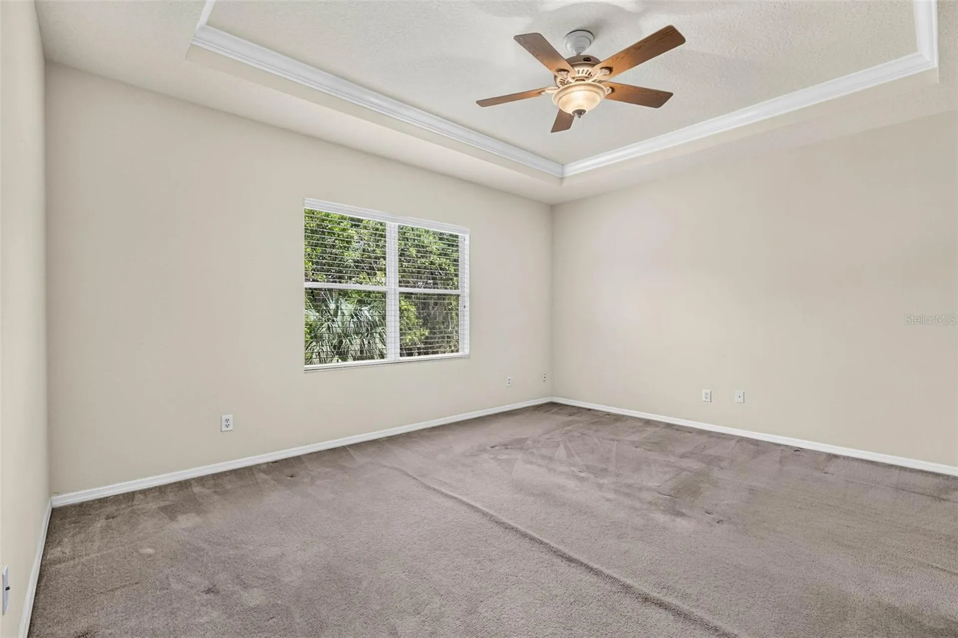 7906 Camden Woods Drive Tampa FL 33619