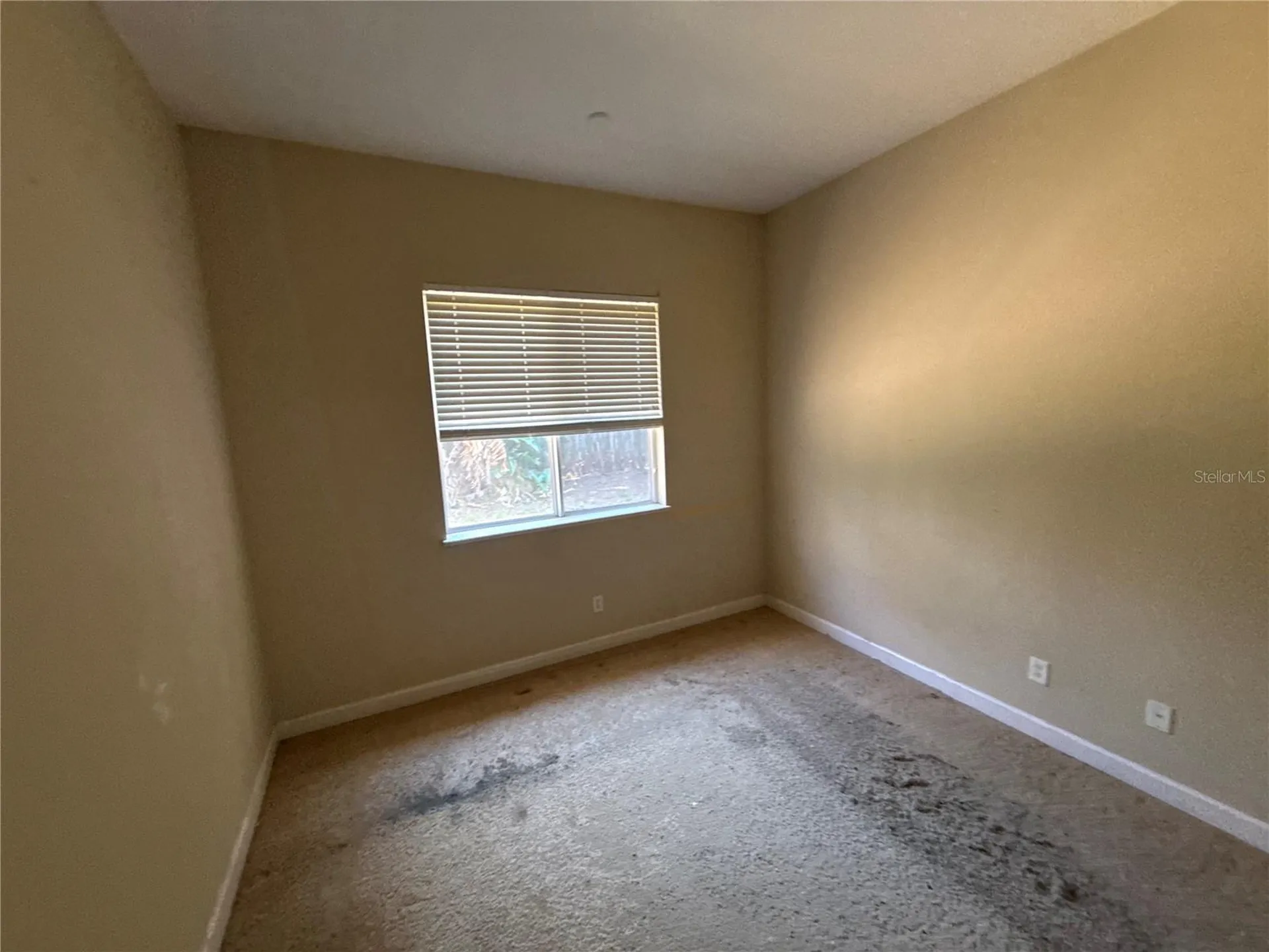 1920 Eloise Cove Drive Winter Haven FL 33884