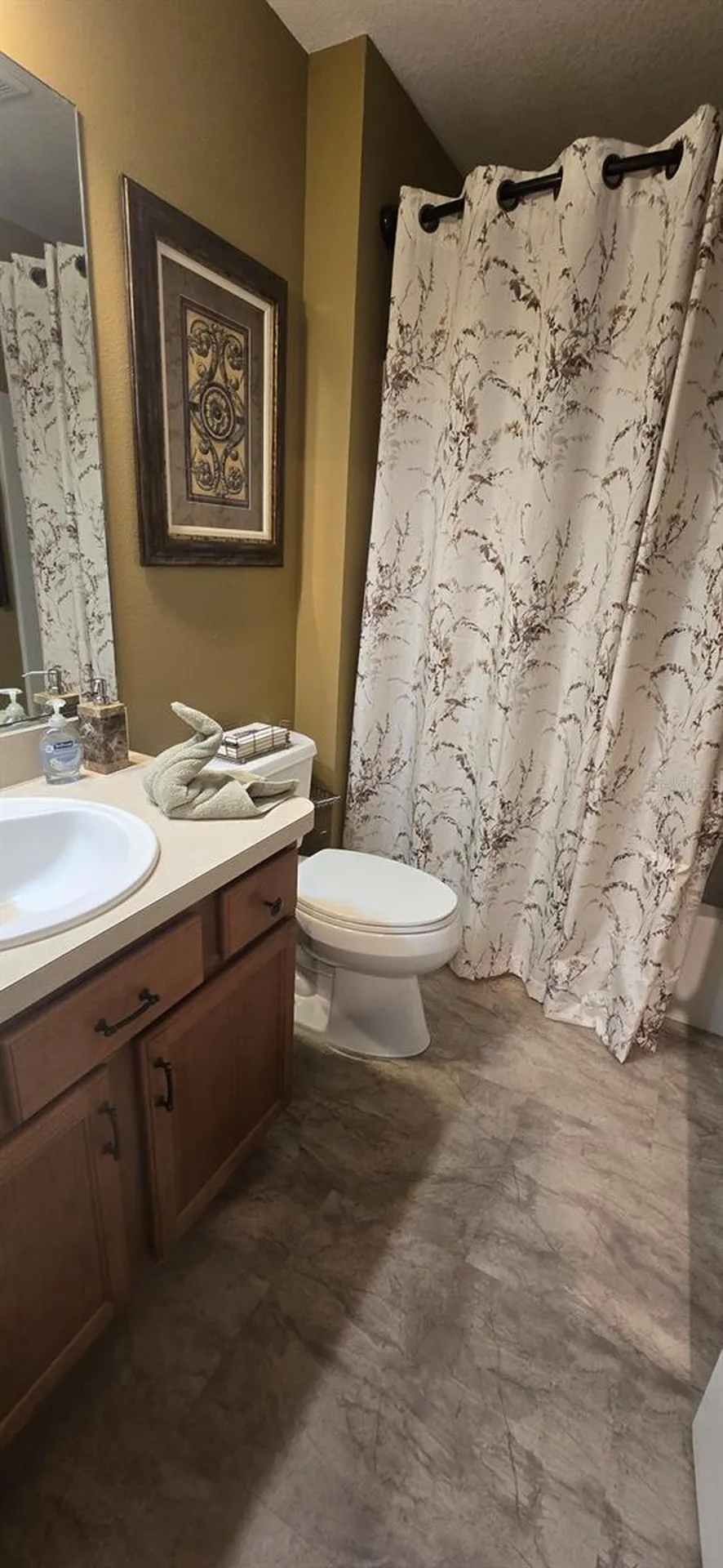 1846 Kane Place The Villages FL 32162