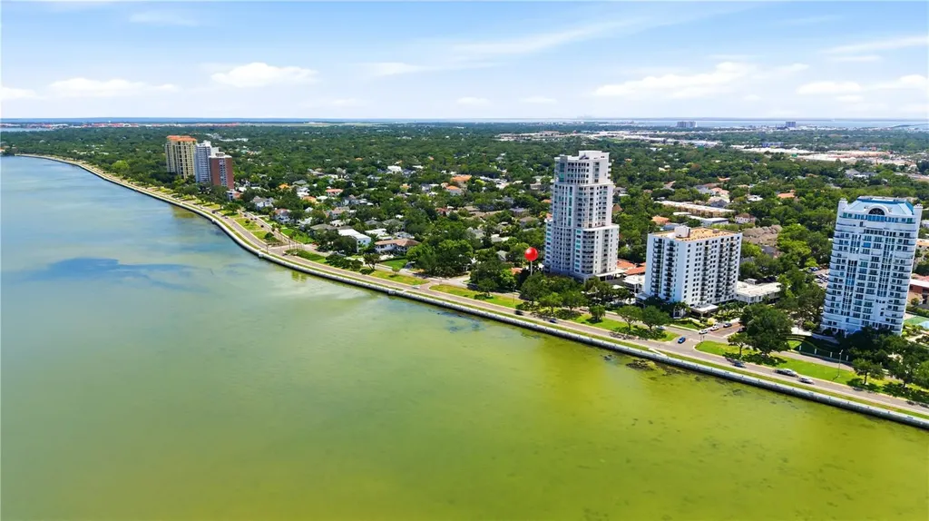 3507 Bayshore Boulevard Tampa FL 33629