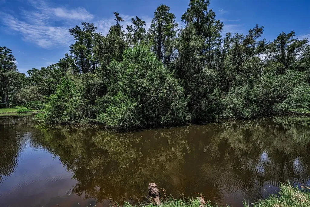 80 Summerwinds Lane Oldsmar FL 34677
