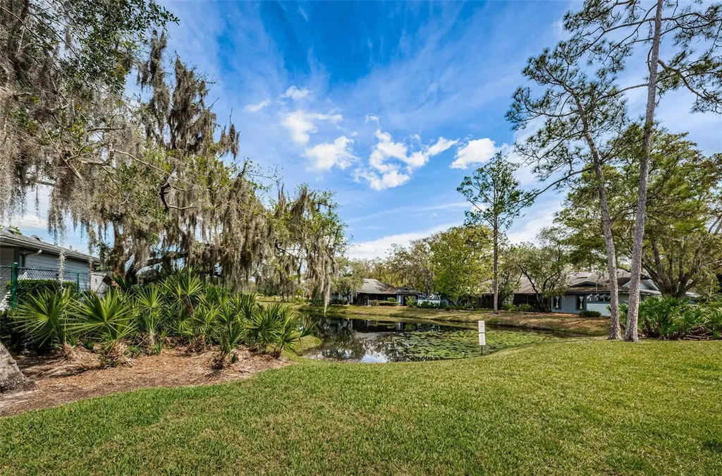80 Summerwinds Lane Oldsmar FL 34677