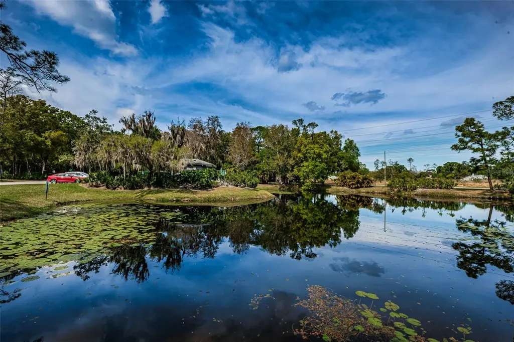 80 Summerwinds Lane Oldsmar FL 34677