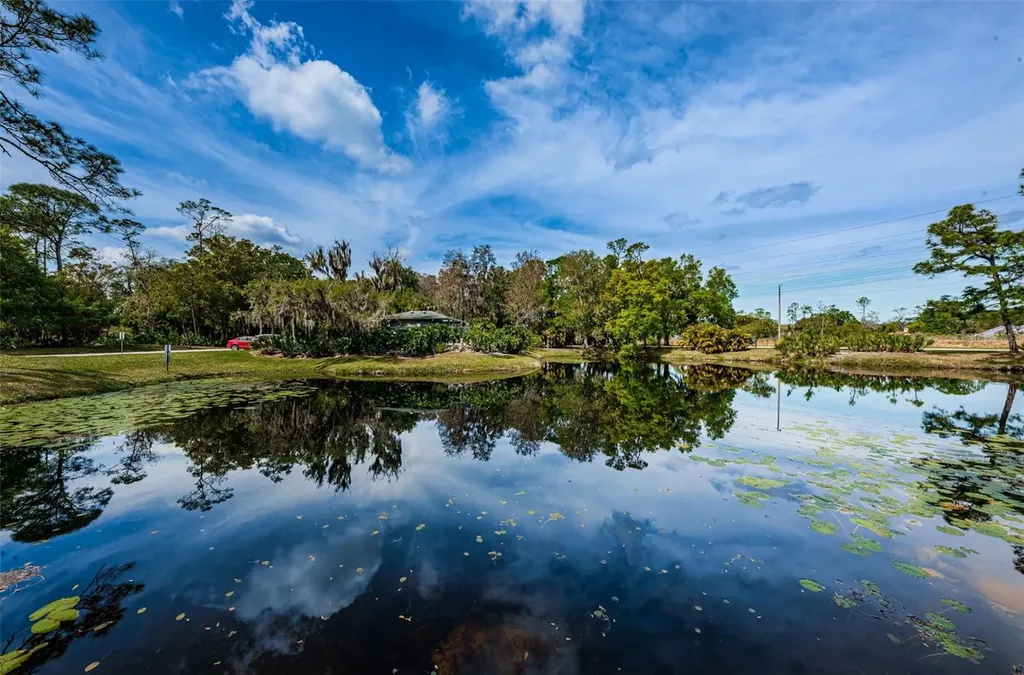 80 Summerwinds Lane Oldsmar FL 34677