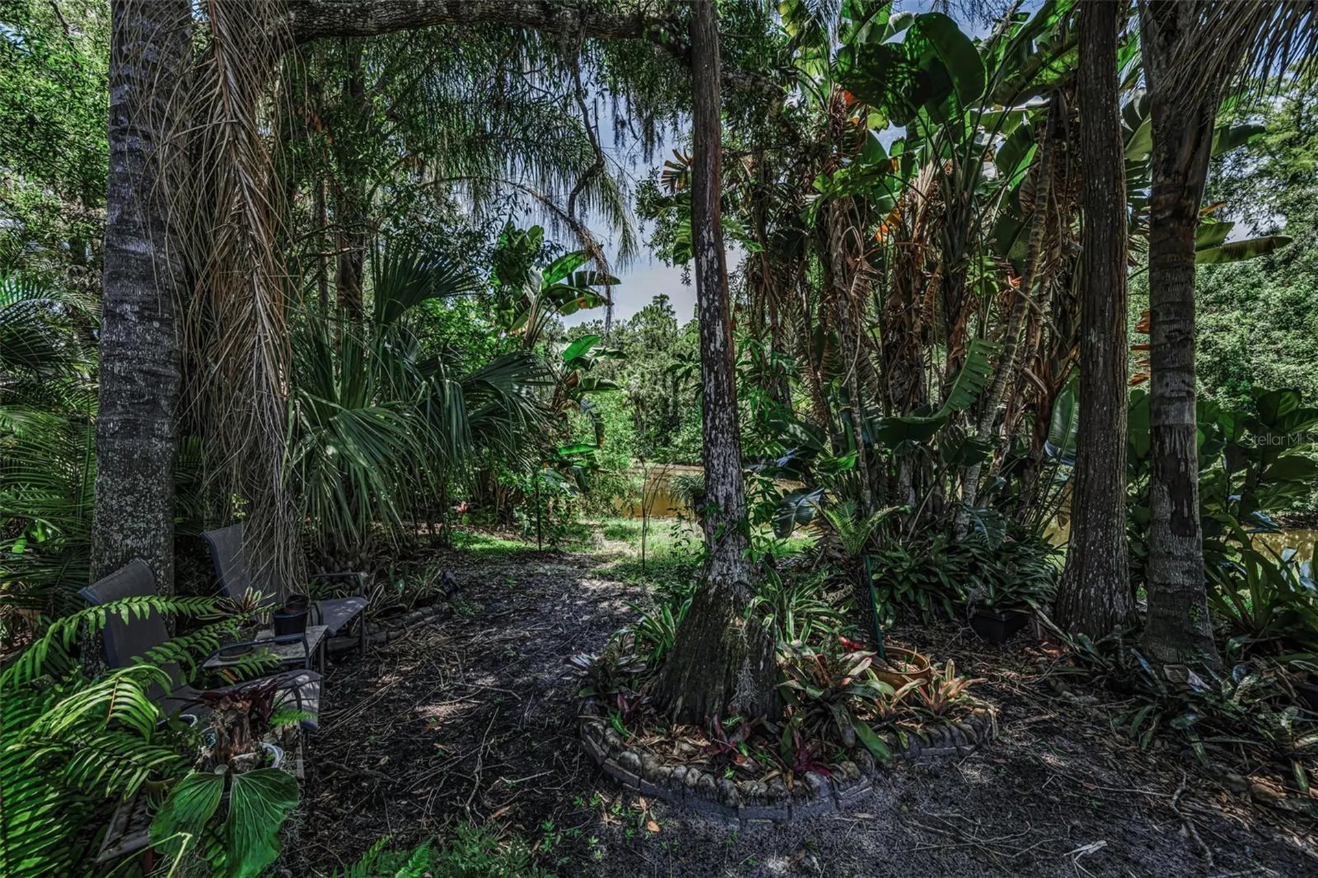 80 Summerwinds Lane Oldsmar FL 34677