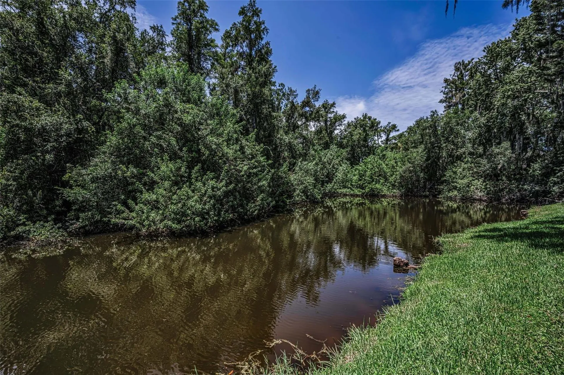 80 Summerwinds Lane Oldsmar FL 34677