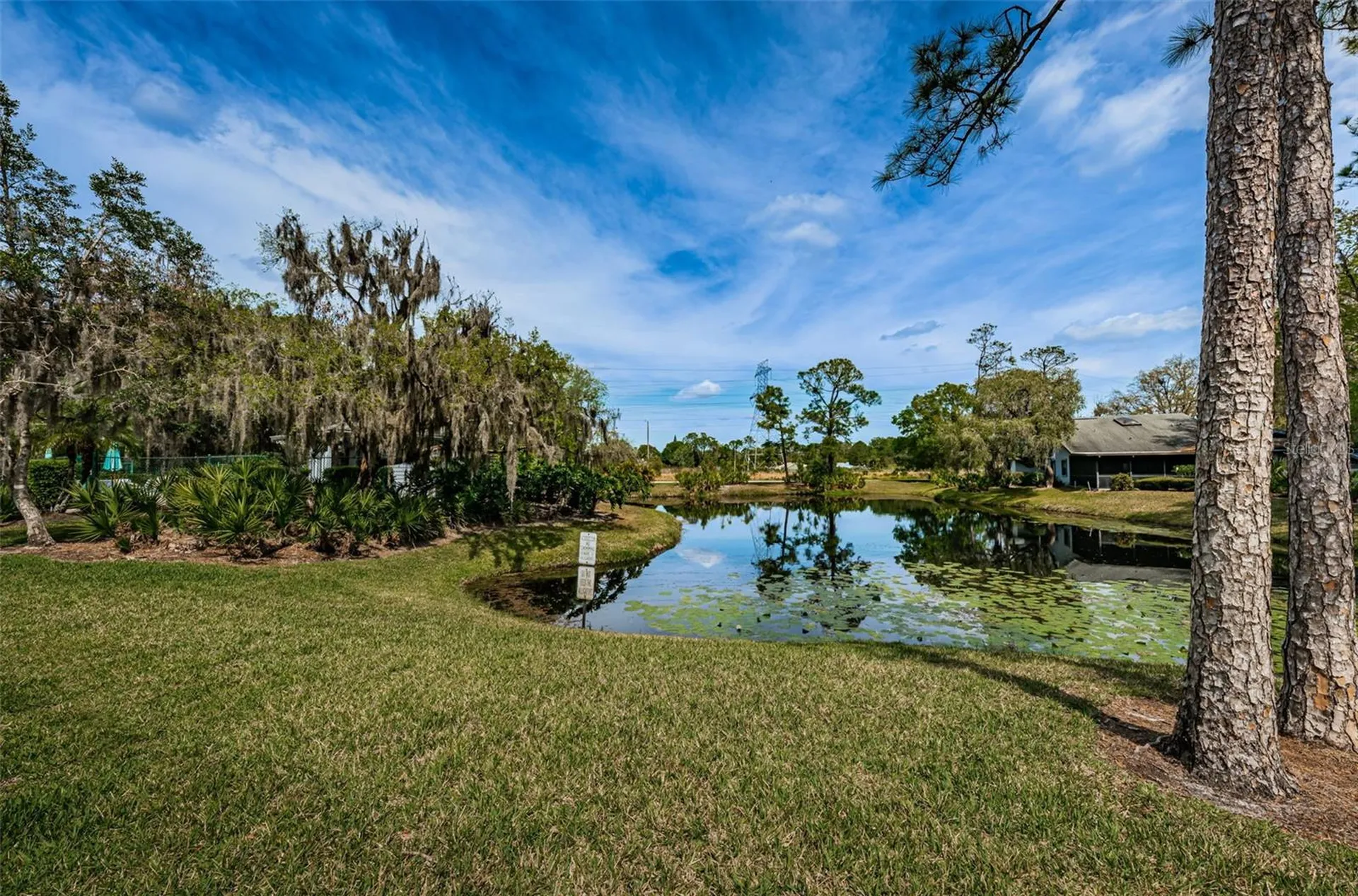 80 Summerwinds Lane Oldsmar FL 34677