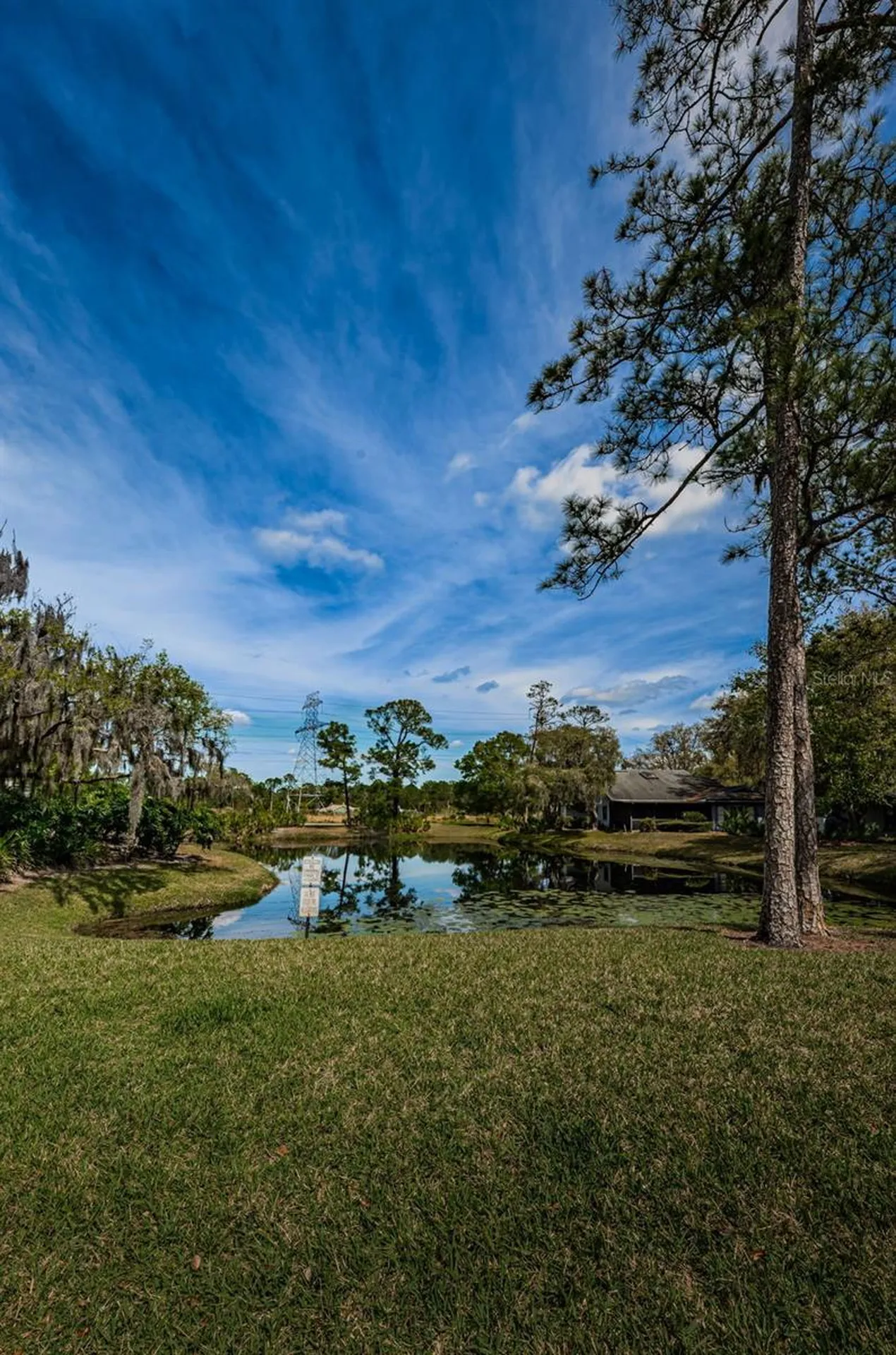 80 Summerwinds Lane Oldsmar FL 34677