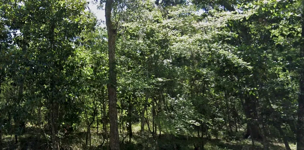 11330 Royal Drive Brooksville FL 34601