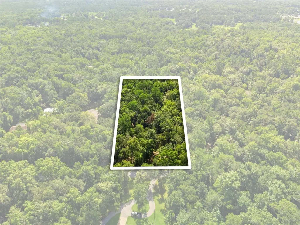 11330 Royal Drive Brooksville FL 34601