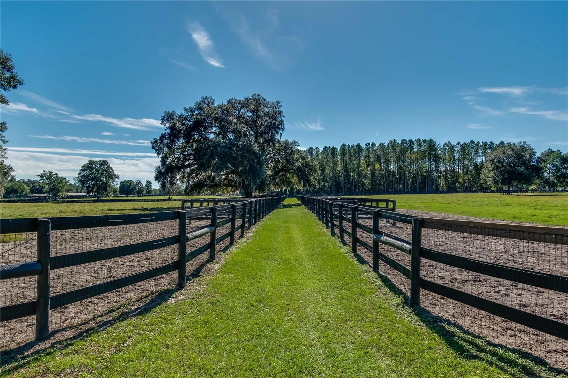 7787 NW 150th Avenue Morriston FL 32668