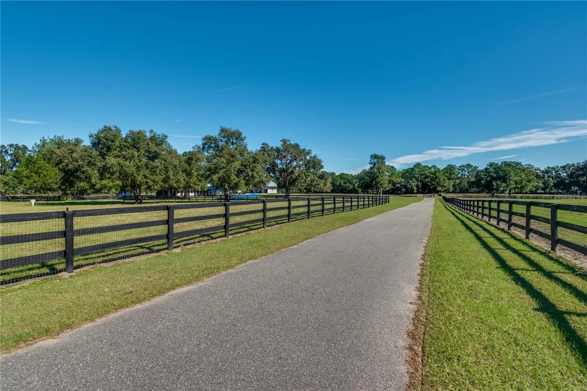 7787 NW 150th Avenue Morriston FL 32668