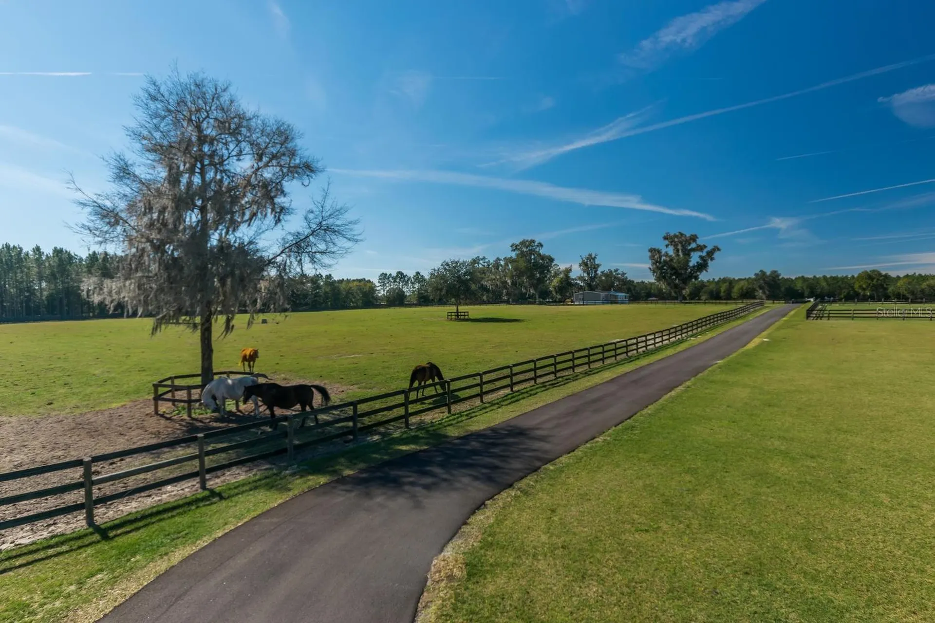 7787 NW 150th Avenue Morriston FL 32668