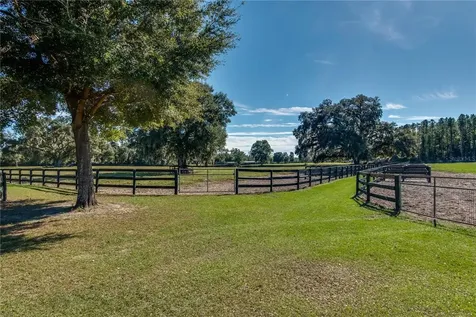 7787 NW 150th Avenue Morriston FL 32668