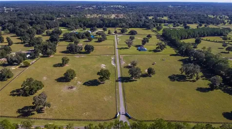 7787 NW 150th Avenue Morriston FL 32668