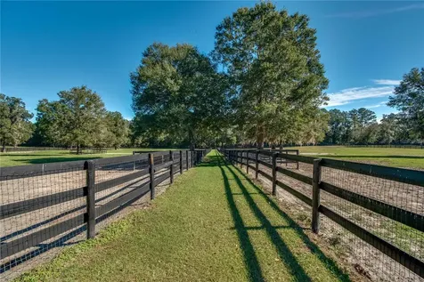 7787 NW 150th Avenue Morriston FL 32668