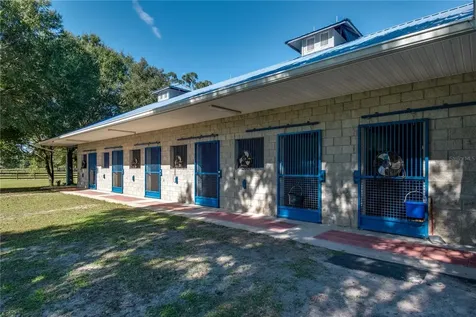 7787 NW 150th Avenue Morriston FL 32668