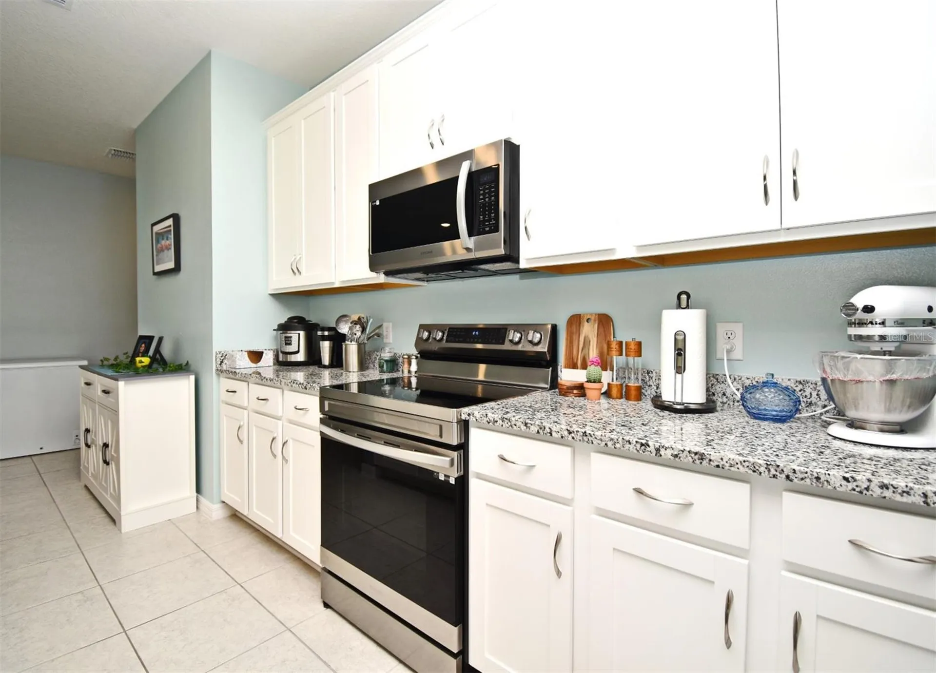 33291 Rembrandt Lane Sorrento FL 32776