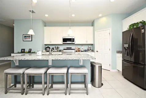 33291 Rembrandt Lane Sorrento FL 32776