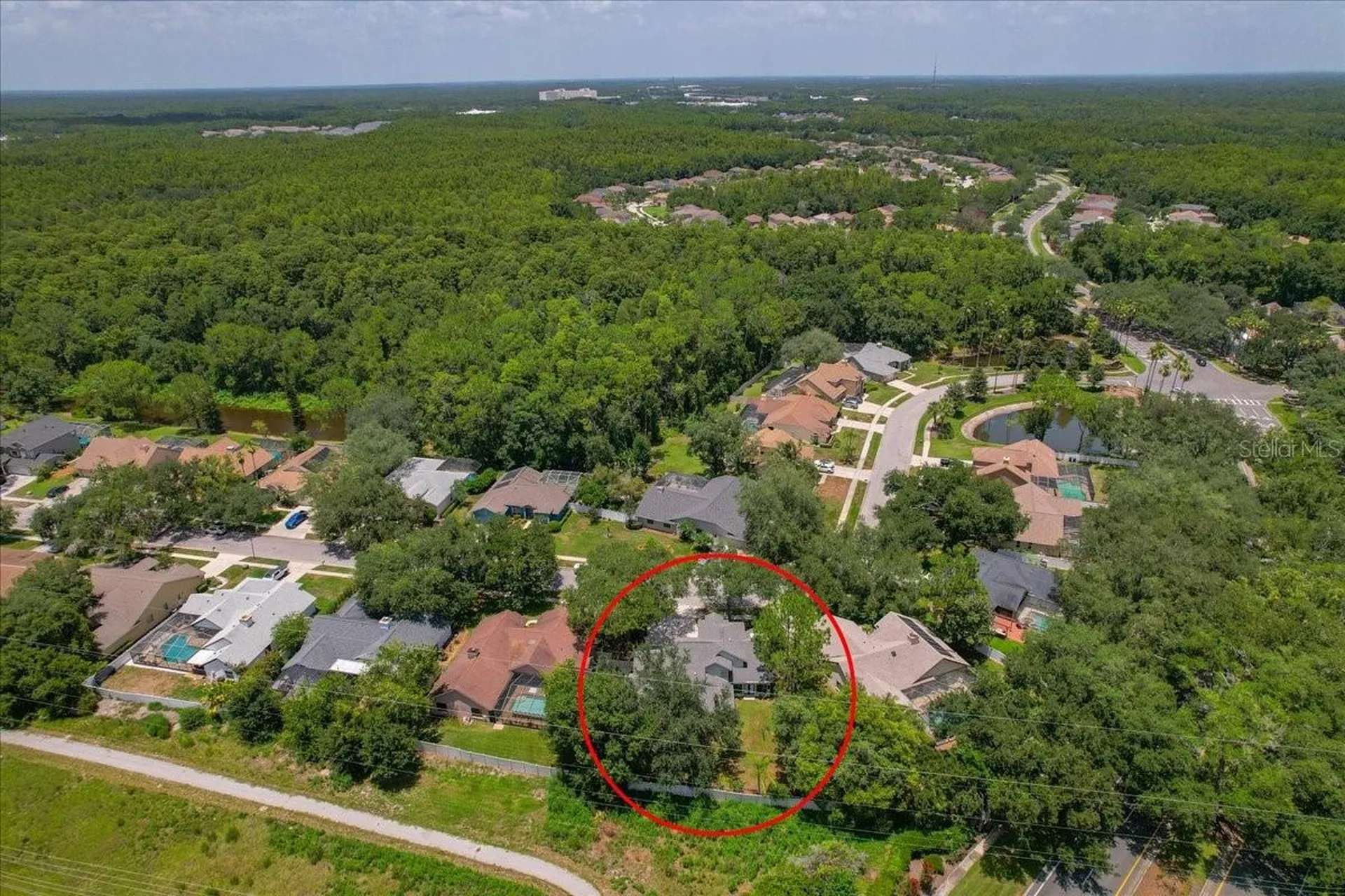 16043 Penwood Drive Tampa FL 33647