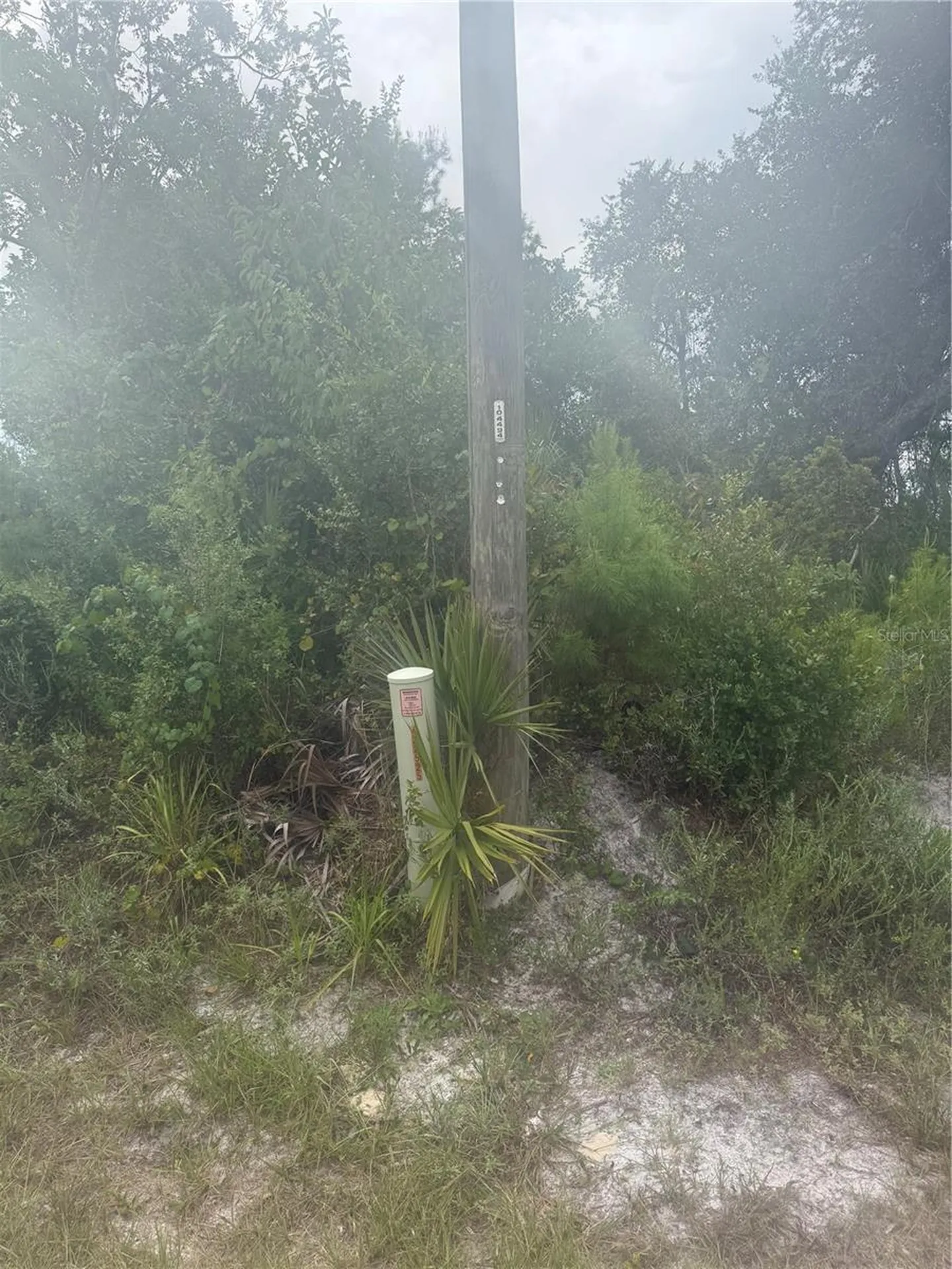 31514 Division Street Deland FL 32720