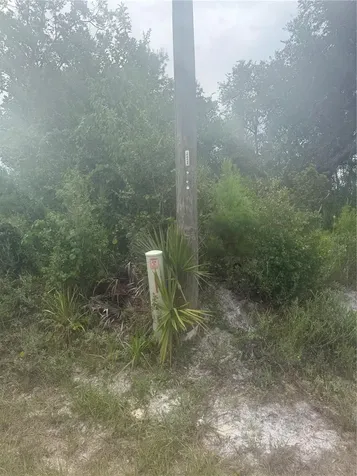 31514 Division Street Deland FL 32720