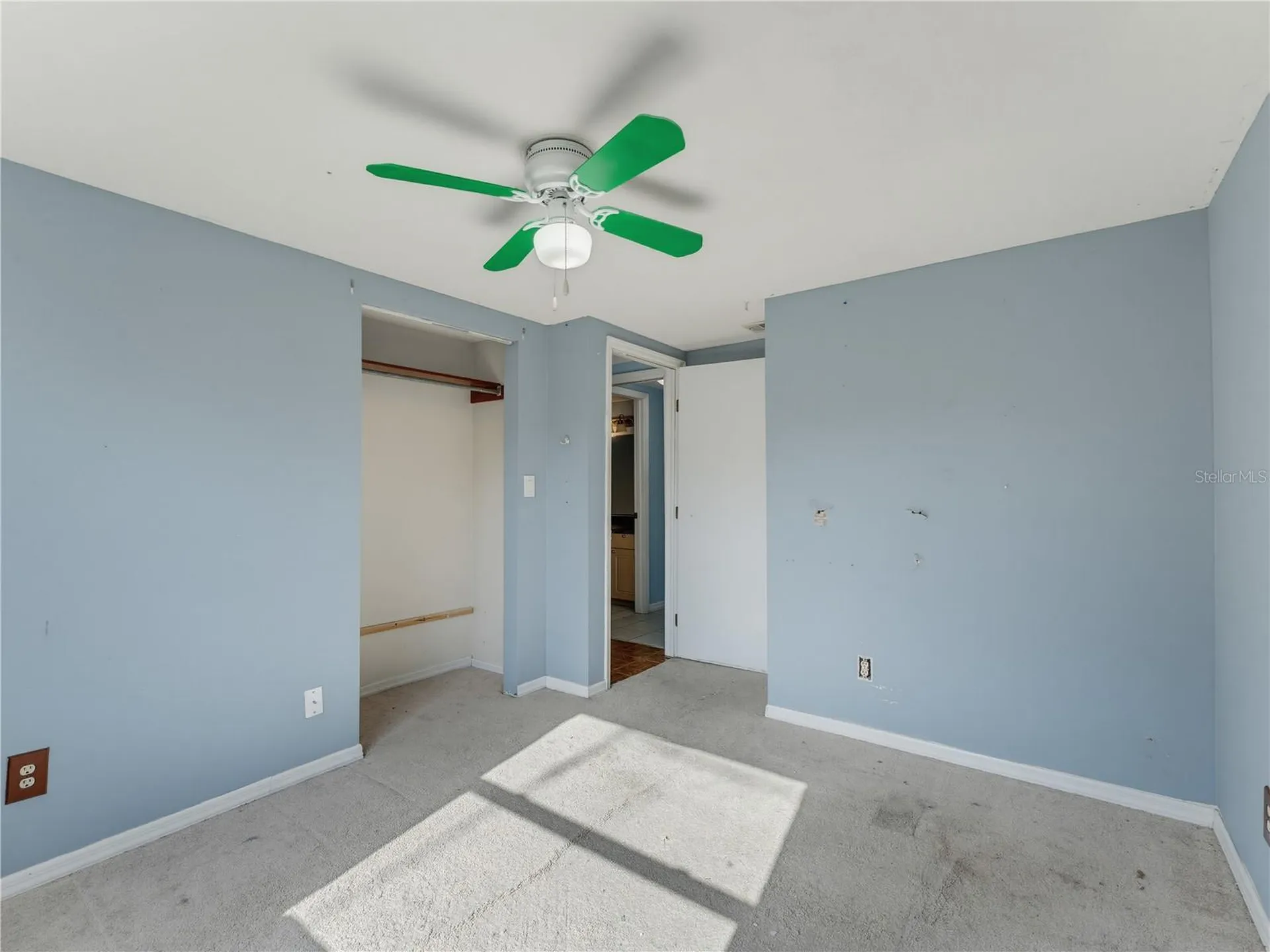 1116 E Oakwood Street Tarpon Springs FL 34689