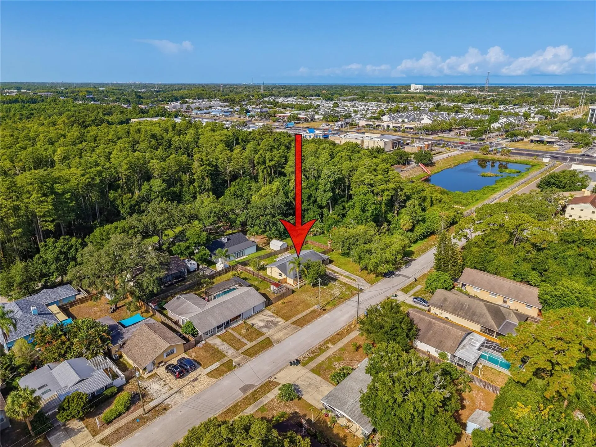 1116 E Oakwood Street Tarpon Springs FL 34689