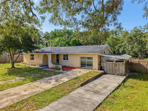 1116 E Oakwood Street Tarpon Springs FL 34689